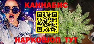 прущие крисы Донской