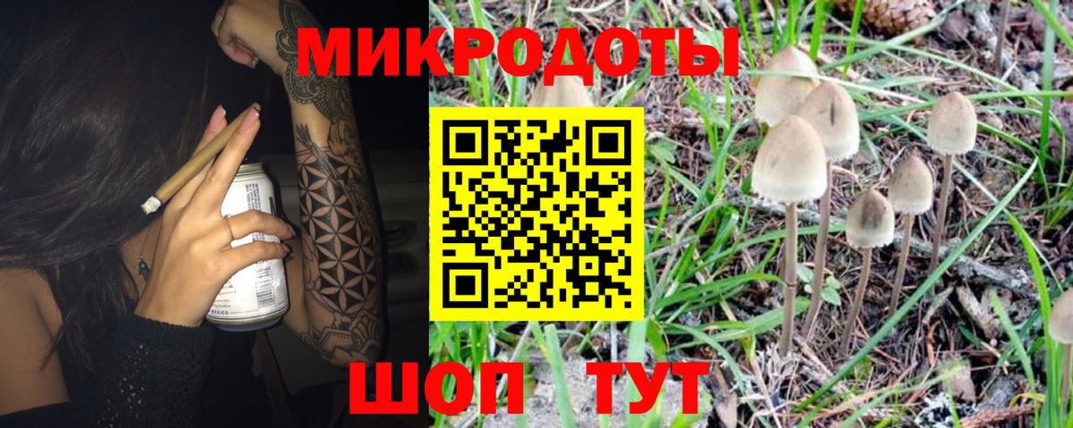 Псилоцибиновые грибы мицелий  Галлюциногенные грибы мухоморы  Вход с VPN  купить наркоту  Людиново 